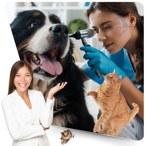 PET Love Porto Seguro PET Love Porto Seguro